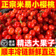 迭果四川櫻桃攀枝花米易小櫻桃恩特兒小櫻珠新鮮水果國產(chǎn)車(chē)厘子恩桃 1000g(凈重) 土櫻桃