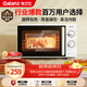 格蘭仕（Galanz）微波爐家用小型便捷微波爐 360°轉盤(pán)加熱旋鈕操控易潔內膽操作簡(jiǎn)單SE(W3)