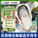 貝司令鮮活乳山生態(tài)生蠔4XL 凈重9斤 17-23只 生鮮源頭直發(fā)露營(yíng)聚會(huì )