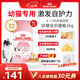 皇家幼貓貓糧 幼貓奶糕 K36 通用糧 4-12月 2KG
