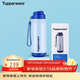特百惠（Tupperware）吸管保溫杯510ml大容量運動(dòng)水杯子男女學(xué)生泡茶咖啡杯 藍色