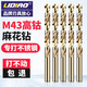 麗雕（LiDiao）M43含鈷超硬麻花鉆頭不銹鋼專(zhuān)用打孔鉆鋼鐵手電鉆合金直柄轉頭