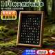 衛辭100種天然礦石標本寶石地質(zhì)礦物水晶原石擺件送男生生日禮物女孩 100種礦石標本【黑底款】禮盒裝 32.24CM