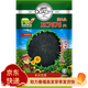 鳳鳴雅世 油葵種子油葵種子孑矮大頭大盤(pán)油葵種籽春秋向日葵出油高四季籽 矮大頭XC7676油葵種子200克