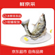 鮮京采【冰鮮】白蕉海鱸魚(yú)凈重500-550g *3條 地標 魚(yú)類(lèi)源頭直發(fā)
