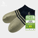 哈吉斯（HAZZYS）配飾 3A抗菌男襪子拼接撞色條紋踝襪短筒襪AAHZ1YCA035 藏青色NV 均碼