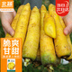 北蔬 黃胡蘿卜種子苗齊頭黃春季新疆蔬菜種籽 黃蓉水果胡蘿卜種子10g