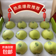 【年貨節禮盒】新疆阿克蘇王林蘋(píng)果青蘋(píng)果紅富士蘋(píng)果脆甜冰糖心 【禮盒】王林蘋(píng)果帶箱5斤（65-75mm）