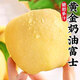 琪江果山東煙臺奶油富士蘋(píng)果 棲霞黃蘋(píng)果當季新鮮水果整箱 奶油蘋(píng)果凈重4.5斤單果80mm+大果