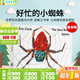 【送音頻】英文原版繪本 The Very Busy Spider 好忙好忙的小蜘蛛 吳敏蘭書(shū)單 第77本 艾瑞卡爾代表作 Eric Carle 卡爾爺爺