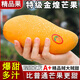 云南金煌芒水仙芒果青皮大芒果甜心芒新鮮水果次日孕婦達送禮 5斤精選果【單果200g+】?jì)糁?.5斤