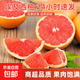 埃及進(jìn)口紅心西柚水果新鮮柚子當季整箱紅肉葡萄蜜柚京東包郵 特大果【300-350g】 1粒嘗鮮裝