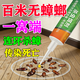 最有效的蟑螂藥特效強力全窩端蟲(chóng)卵雙殺家用室內廚房專(zhuān)用驅趕神器 1盒【專(zhuān)殺蟑螂】