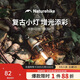 Naturehike挪客戶(hù)外便攜露營(yíng)燈帳篷野營(yíng)充電照明隨身手電筒背包掛燈 星空黑