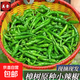 湖南樟樹(shù)現摘新鮮薄皮小青椒超市品質(zhì)生鮮蔬菜辣椒 3斤嘎嘎下飯