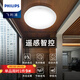 飛利浦（PHILIPS） LED吸頂燈小夜燈人體感應燈替代聲控燈樓道過(guò)道樓燈玄關(guān)陽(yáng)臺燈 12W白光直徑245mm【智能雙感】