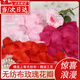 立始仿真玫瑰花瓣裝飾婚房布置套裝結婚假手撒花求婚浪漫婚禮生日紅色 5色各兩包/共10包【約100片/包】