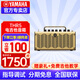 雅馬哈（YAMAHA）吉他音箱THR10 30桌面數字充電藍牙無(wú)線(xiàn)帶效果器民謠木電吉它音響 THR5 電吉他【電池電源供電/效果器+豪禮】