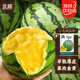北蔬小鳳西瓜種子苗禮品型黃肉超甜水果種籽 小鳳西瓜種子10粒*2袋