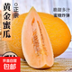 海南黃金蜜瓜哈密瓜新鮮水果當季脆甜網(wǎng)紋瓜香瓜黃河蜜瓜包郵 【精品試吃】黃金蜜瓜帶箱3-4斤【凈重2.5-3斤】