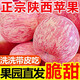 陜西高西溝蘋(píng)果陜西高原紅富士蘋(píng)果冰糖心孕婦當季新鮮 傳說(shuō)中的高原蘋(píng)果【原生態(tài)可以帶皮吃】 樹(shù)上熟：特級大果【帶箱9.4-10斤】爆甜