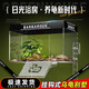 Barbarous Growth烏龜陽(yáng)光房曬背爬臺專(zhuān)用高水位掛壁式曬臺造景烏龜缸深水魚(yú)缸別墅 新升級【烏龜別墅款曬臺】 20*14*14cm