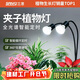 三思植物補光燈仿太陽(yáng)全光譜 全光譜植物燈 盆栽花卉-20W二頭分區補光