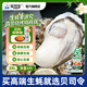貝司令鮮活乳山生態(tài)生蠔3XL 凈重4斤 10-15只 生鮮源頭直發(fā)露營(yíng)聚會(huì )