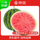 京覓 云南無(wú)籽麒麟西瓜 凈重7-9斤 1粒裝 生鮮水果 源頭直發(fā)