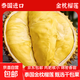 【金枕爆漿A級果】泰國進(jìn)口金枕鮮榴蓮當季新鮮果肉飽滿(mǎn)軟糯香甜 泰國金枕凈重2-3斤(單果）保三房
