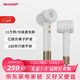 夏普【夏普小浪花】家用高速吹風(fēng)機大功率速干電吹風(fēng)低噪音吹風(fēng)筒送禮女朋友等離子護發(fā)IB-RP45C-C