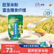 雙熊胚芽米粉嬰兒高鐵米糊寶寶6個(gè)月輔食鈣鐵鋅營(yíng)養蔬菜水果粉258g 加鐵CC胚芽米粉 258g*1罐 258克X1罐