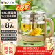 小熊（Bear）養生壺燒水壺恒溫煮茶壺多檔保溫燒水燉煮壺一體多功能電熱水壺花茶壺辦公室玻璃燒水養生壺0膠水 YSH-B18T1【配實(shí)用濾網(wǎng)+蛋架】 1.5L 綠色