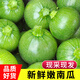 中鮮生云南新鮮嫩南瓜迷你小瓜現摘現發(fā)新鮮蔬菜 3斤 裝