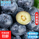 云南國產(chǎn)藍莓超大果【多地次日達JD快遞】精選新鮮藍莓 孕婦水果 4盒裝 多買(mǎi)多劃算【70-90g/盒】 中果【單果15mm+】