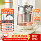 九陽(yáng)（Joyoung）1.5L養生壺 0膠水煮茶器 316L不銹鋼電燒水壺 保溫花茶壺 帶濾網(wǎng) WY303