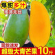 【頭茬】正宗越南大青芒玉芒金煌甜心芒新鮮熱帶當季孕婦水果整箱 熱賣(mài)：帶箱9斤特大果【單果350g+】?jì)糁?-8.5斤