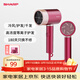 夏普負離子護發(fā)吹風(fēng)機大功率電吹風(fēng)IB-RC46C-P