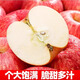 洮小嬋山東紅富士蘋(píng)果新鮮水果脆甜 整箱生鮮特產(chǎn) 帶箱10斤精品果 單果130g+ 凈重8.5斤