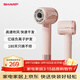 夏普家用吹風(fēng)機大功率負離子電吹風(fēng)低噪音護發(fā)高速風(fēng)干不傷發(fā)升級款I(lǐng)B-RP47C-P