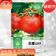 壽禾 石盾197石頭番茄種子大紅西紅柿早熟冬春季蔬菜普羅旺斯 石盾197種子1000粒