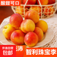 智利進(jìn)口珠寶李新鮮李紅李子新鮮當季孕婦水果黑布林脫骨脆 凈重2斤裝