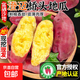 正宗海南澄邁富硒橋頭地瓜板栗紅薯代餐輔食早餐直播間超市品質(zhì) 5斤 （2兩-8兩） 凈重