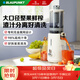 藍寶（BLAUPUNKT）【NFC純果汁】榨汁機原汁機 家用果汁機渣汁分離全自動(dòng)大口徑免切無(wú)濾網(wǎng)好清洗料理機 YJ01