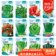 菜禾地 種子大全蔬菜種子香菜生菜冬春季各種蔬菜種子 12種蔬菜種子套裝