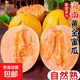 海南黃金蜜瓜哈密瓜新鮮水果當季脆甜應當季原產(chǎn)地現摘整箱打包發(fā) 試吃黃金蜜瓜帶箱3-4斤【凈重2.5-3斤】