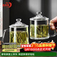 青蘋(píng)果泡茶杯帶蓋 無(wú)鉛玻璃把手水杯玻璃杯商務(wù)會(huì )議家用350ML兩只裝