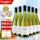 卡特琳娜之聲（CATALINA SOUNDS）干白葡萄酒新西蘭進(jìn)口馬爾堡長(cháng)相思96分金獎香型檳起泡酒 原瓶進(jìn)口【卡特琳娜之聲】750ml*6