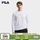 FILA 斐樂(lè )官方男子針織長(cháng)袖衫2025秋時(shí)尚休閑簡(jiǎn)約基礎圓領(lǐng)長(cháng)T