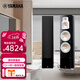 雅馬哈（YAMAHA）NS-777家庭影院5.1音響套裝5.1.2套裝音響組合鋼琴烤漆色 NS-777主音箱（一對）